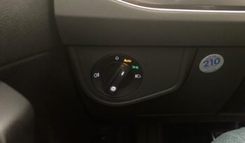 Volkswagen Polo 2.0 TSI – Gasolina – Automático – 207 CV lleno